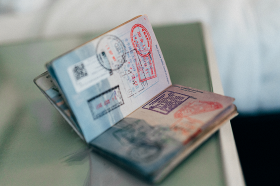 passport and visa stamps