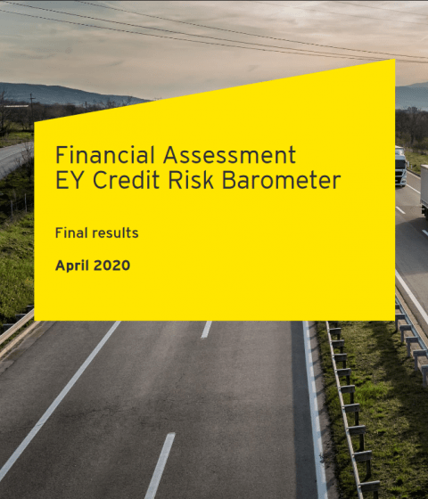 2019 FAIM Financial Assessment report - EY