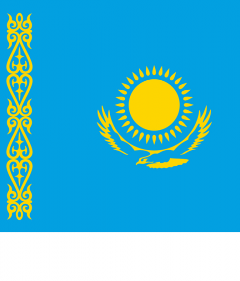 Kazakhstan unrest lead to disruption in services