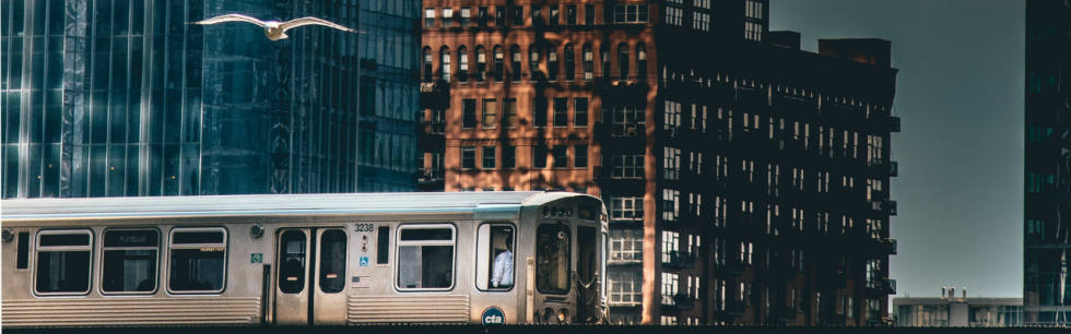 Moving around the city | FIDI