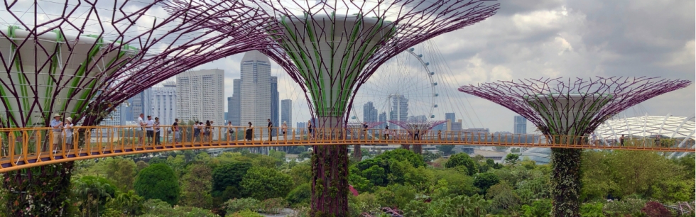 Singapore for expats | FIDI
