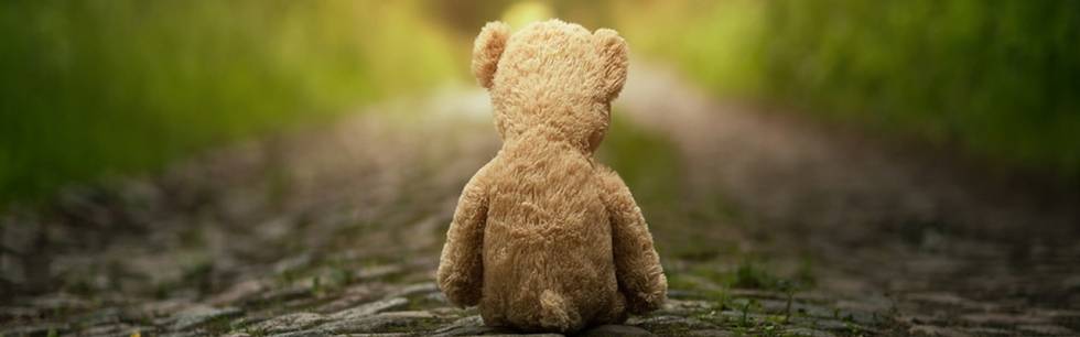 Family matters teddy bear | FIDI