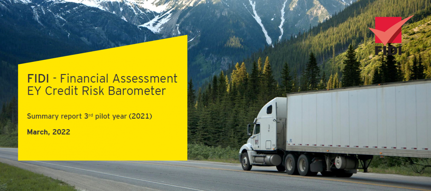 2022 FAIM Financial Assessment report by EY