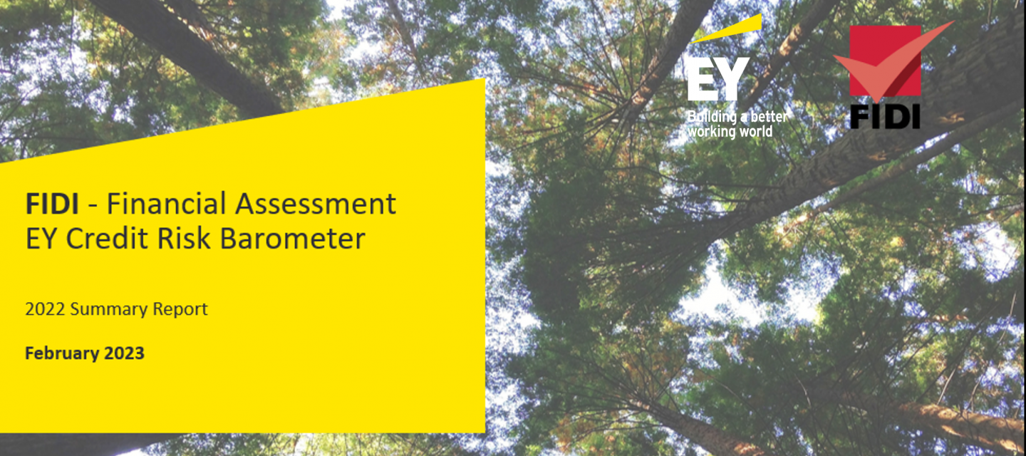 2021 FAIM Financial Assessment report by EY