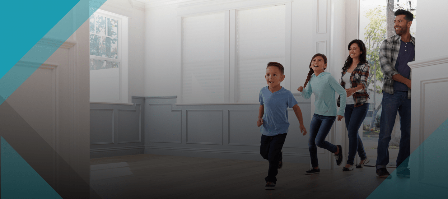 FIDI DSP Certification - introduction