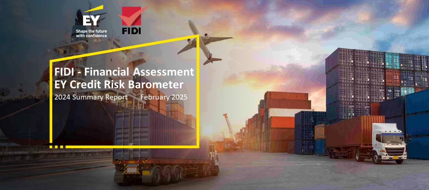 2024 FAIM Financial Assessment report by EY