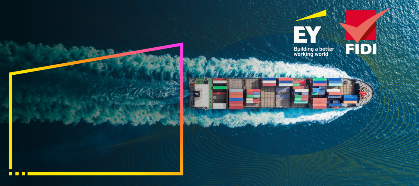 2025 FAIM Financial Assessment report by EY