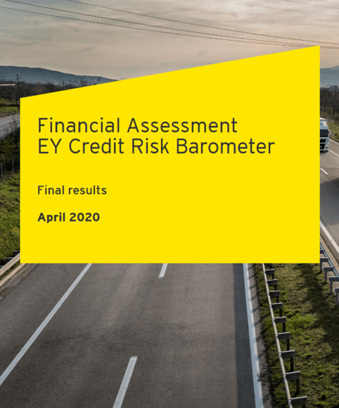2019 FAIM Financial Assessment report by EY
