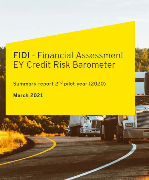 2020 FAIM Financial Assessment report by EY