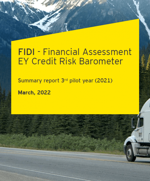 2021 FAIM Financial Assessment Report by EY