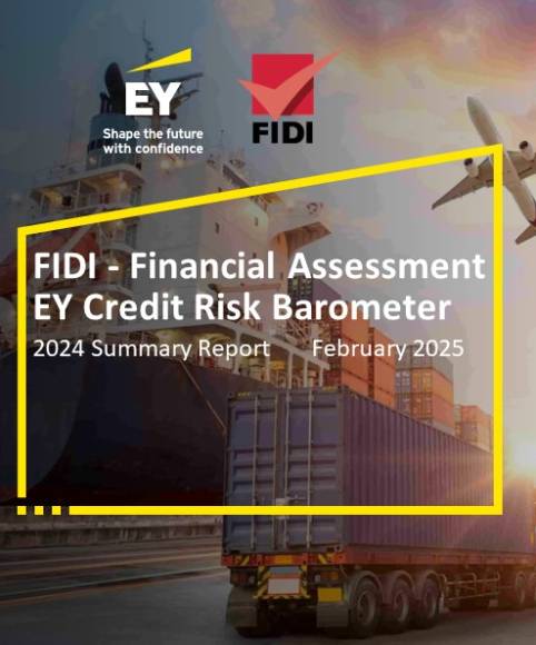 2024 FAIM Financial Assessment Report by EY
