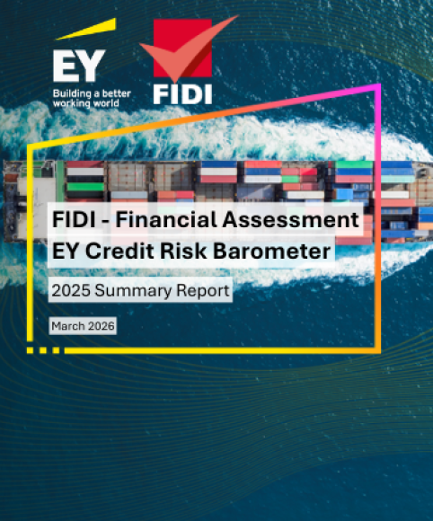 2025 FAIM Financial Assessment report by EY